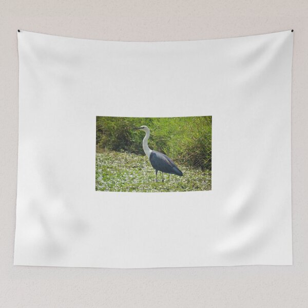 Item preview, White Necked Heron designed and sold by D-GaP.