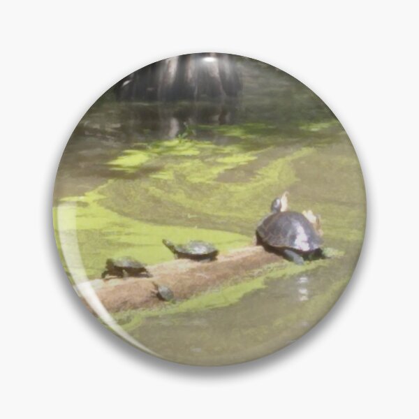 Item preview, Turtle Family designed and sold by Greer Collins.