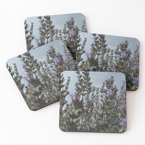 Item preview, Lavanders designed and sold by RoMoro.