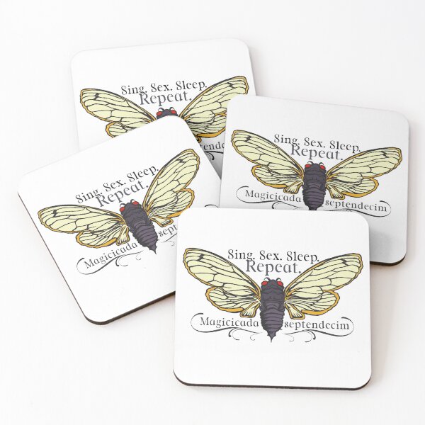 Item preview, Sing Sex Sleep Repeat - Cicada Life Cycle - Specimen designed and sold by The White Bat.