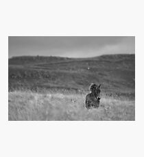 Tough guy Photographic Print