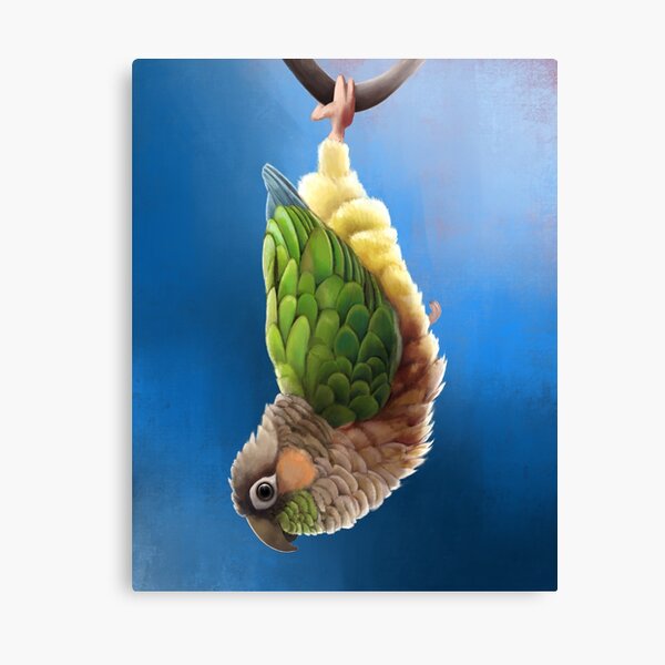 Item preview, Hanging Green Cheek Conure designed and sold by KCGillies.