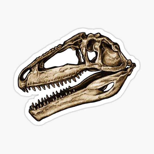 Item preview, Dinosaur Skull Giganotosaurus Sticker designed and sold by CassWArt.