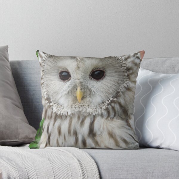 Item preview, Beautiful young Owl designed and sold by Joliidea.