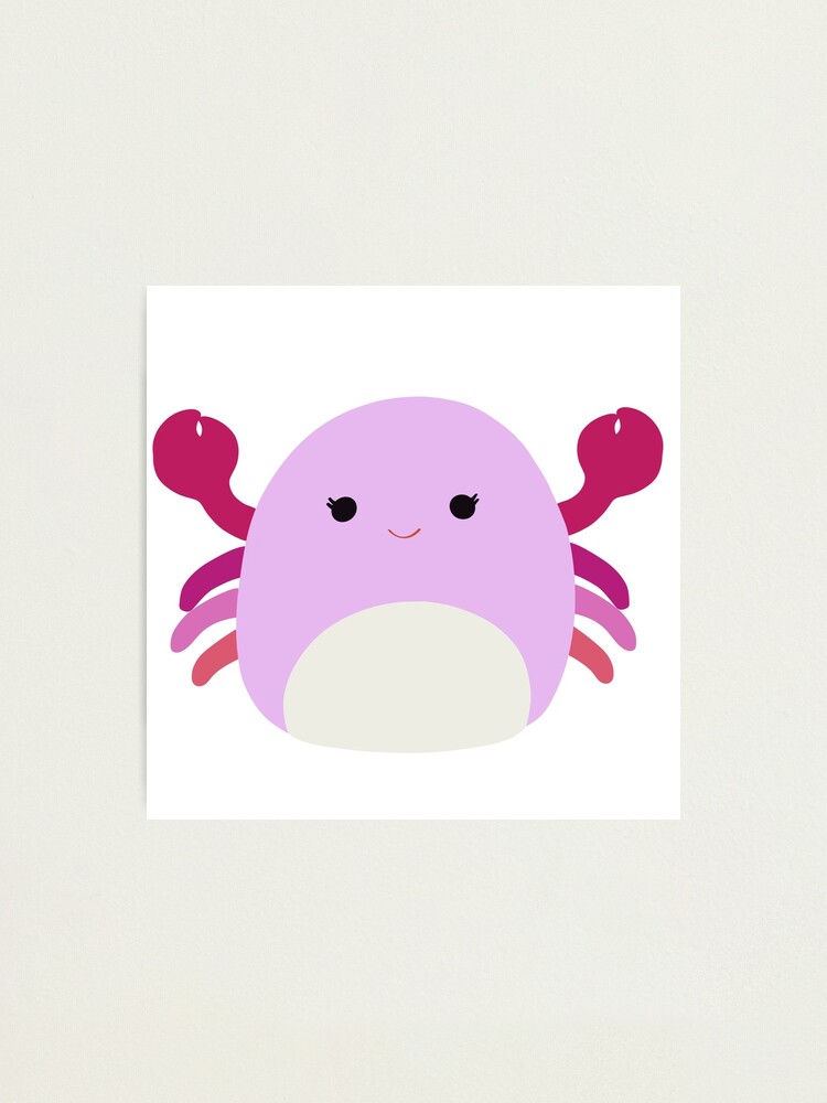 cailey the crab squishmallow