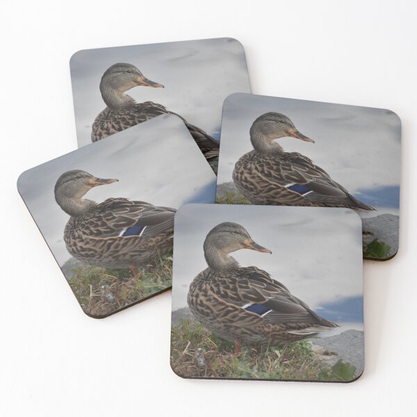Item preview, Lady Mallard designed and sold by Becky Laine.