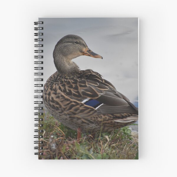 Item preview, Lady Mallard designed and sold by Becky Laine.