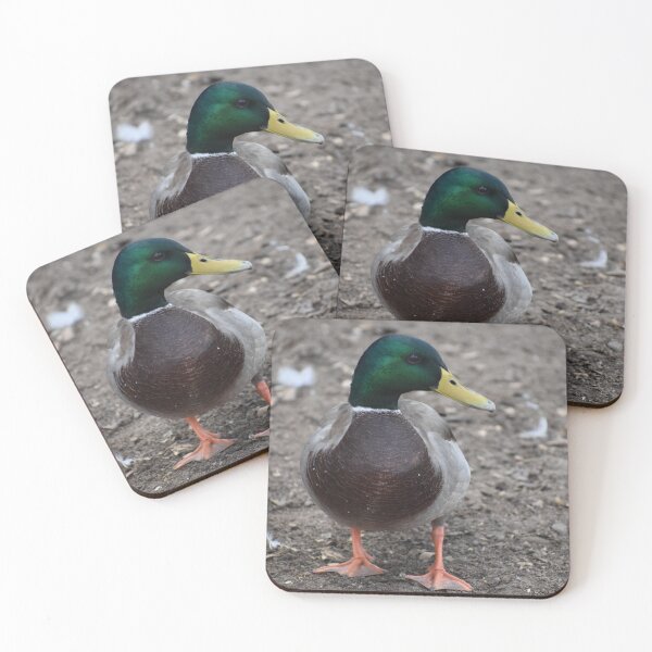 Item preview, Sir Mallard designed and sold by Becky Laine.