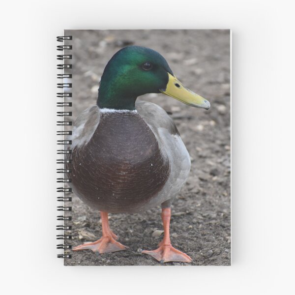 Item preview, Sir Mallard designed and sold by Becky Laine.