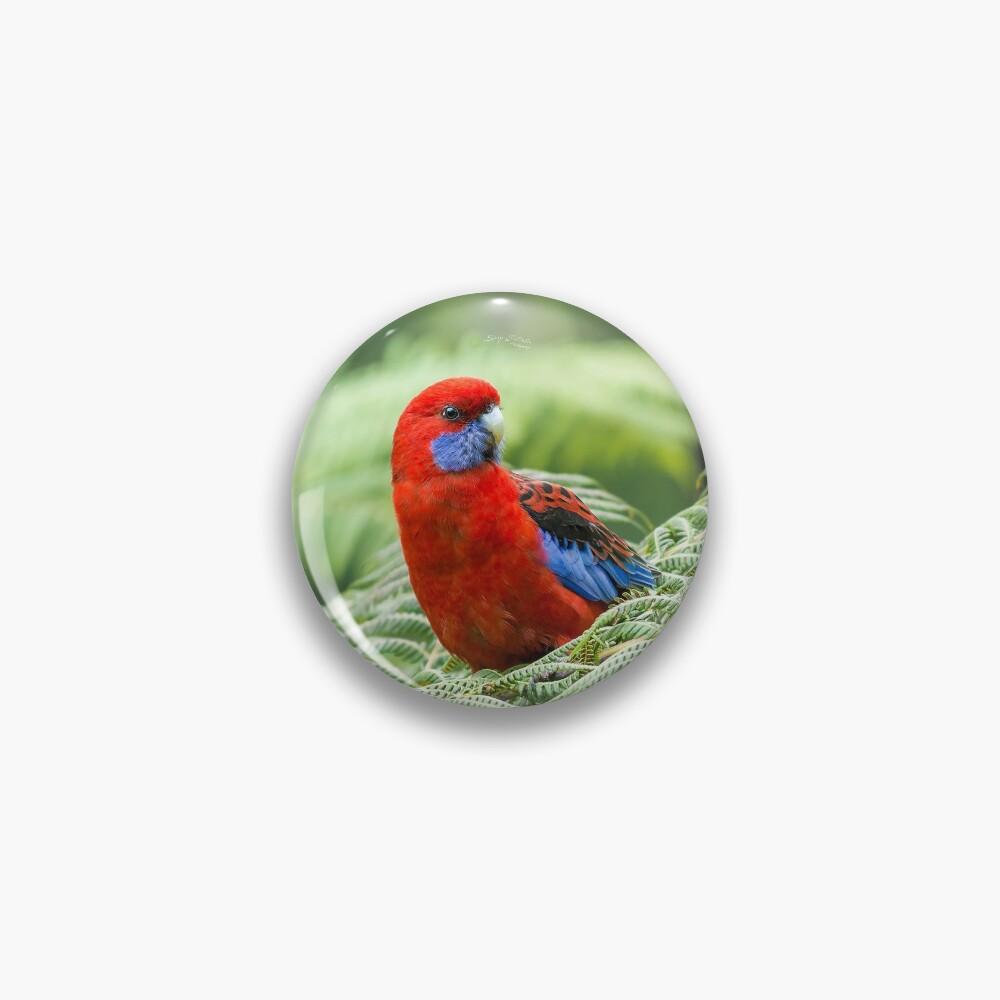 Item preview, Pin designed and sold by barrycallister.