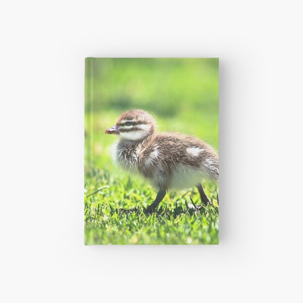 Item preview, Yanchep Ducklings designed and sold by Dave Catley.