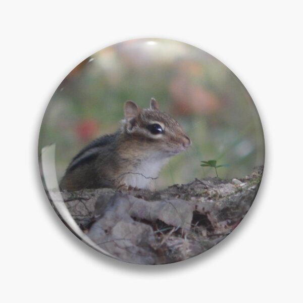 Item preview, Chippy designed and sold by Becky Laine.