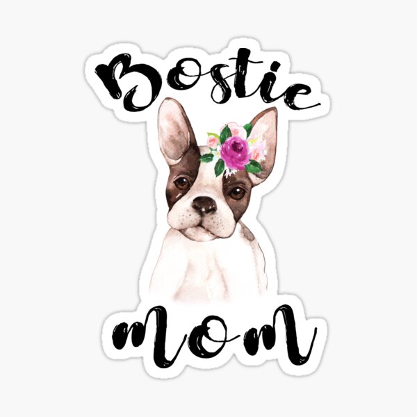 Details about / Pride Of A Boston Terrier Mom Sticker Portrait