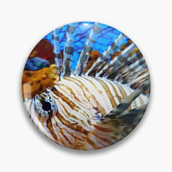 Item preview, Majestic Parrotfish designed and sold by quietmagenta.