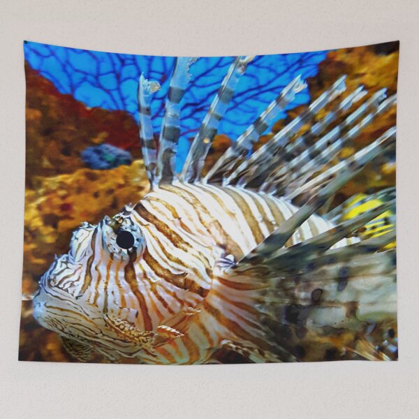 Item preview, Majestic Parrotfish designed and sold by quietmagenta.