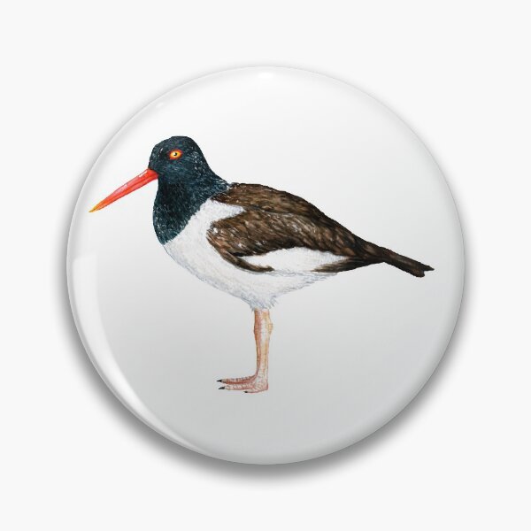 Item preview, Bird - Common Pilpilén (Haematopus palliatus) designed and sold by SandraHaro.