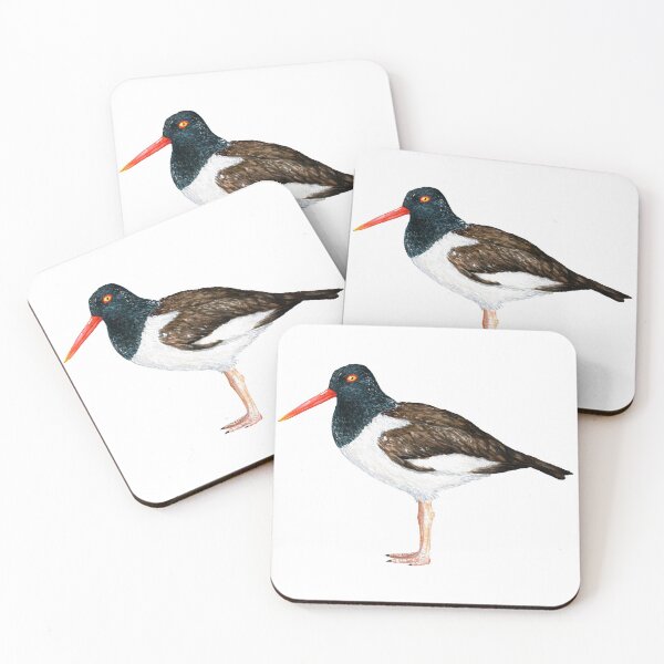 Item preview, Bird - Common Pilpilén (Haematopus palliatus) designed and sold by SandraHaro.