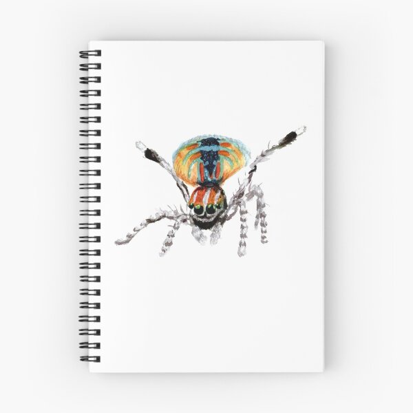 Item preview, watercolor peacock spider designed and sold by RootSpellStudio.