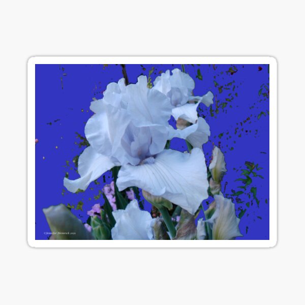 Item preview, Splash that Bearded Iris designed and sold by Jens-Jolies.