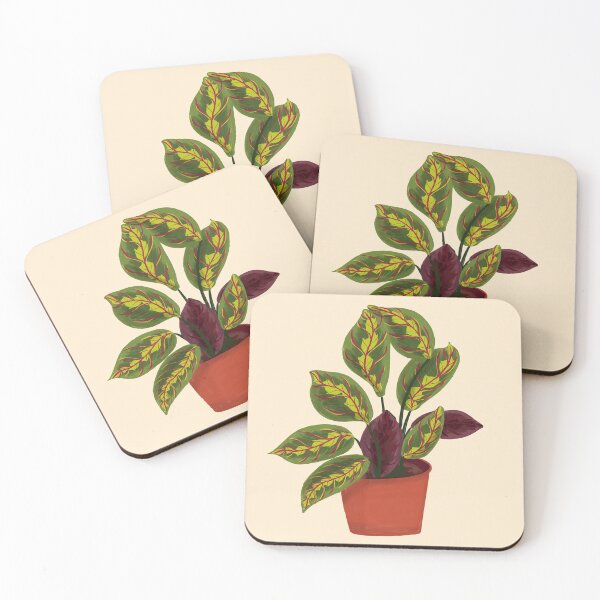 Item preview, Prayer Plant designed and sold by MaiZephyr.