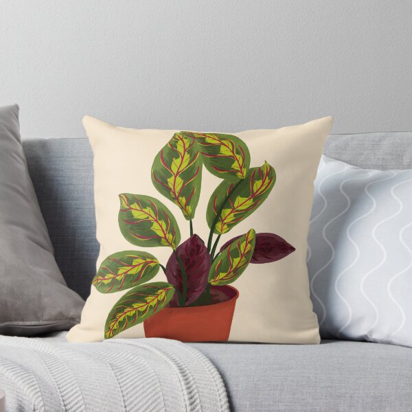 Item preview, Prayer Plant designed and sold by MaiZephyr.