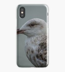 Gull iPhone Case