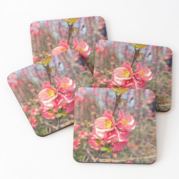 Item preview, Flowering Quince Buds on a Sunny Afternoon designed and sold by Mothe3rd.