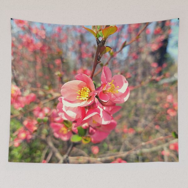 Item preview, Flowering Quince Buds on a Sunny Afternoon designed and sold by Mothe3rd.