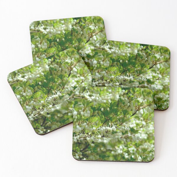 Item preview, Close-up of bushes with delicate green leaves and small white flowers. designed and sold by EAnneH.
