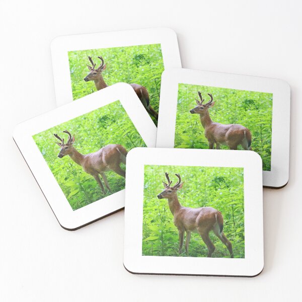 Item preview, young male deer designed and sold by cloudcovered.