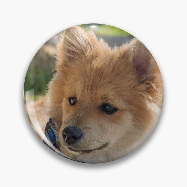 Item preview,  Pomeranian puppy Kai designed and sold by Fluffycat2020.