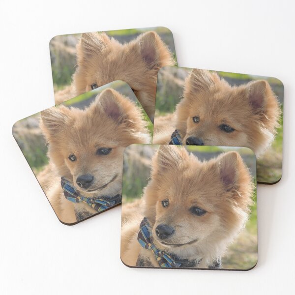 Item preview,  Pomeranian puppy Kai designed and sold by Fluffycat2020.