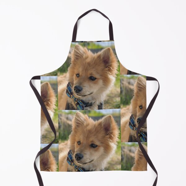 Item preview,  Pomeranian puppy Kai designed and sold by Fluffycat2020.