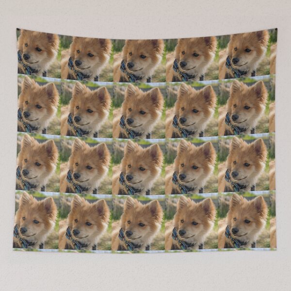 Item preview,  Pomeranian puppy Kai designed and sold by Fluffycat2020.