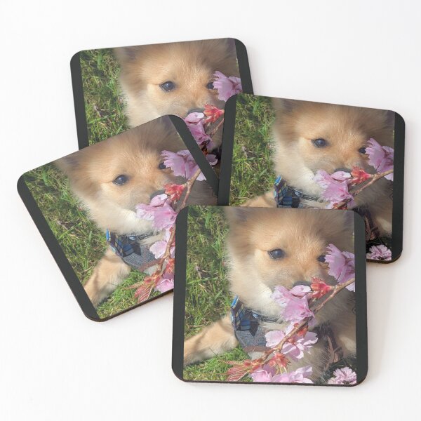 Item preview,  Pomeranian puppy Kai designed and sold by Fluffycat2020.