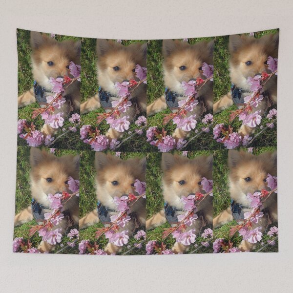 Item preview,  Pomeranian puppy Kai designed and sold by Fluffycat2020.