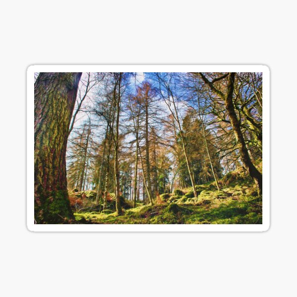 Item preview, Into the Forest designed and sold by Vicki Field.