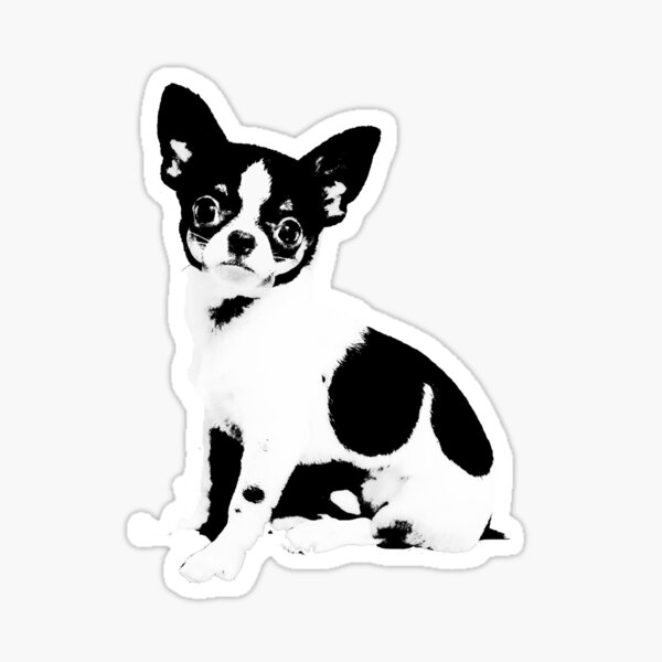 Item preview, Hyper the Chihuahua B/W version designed and sold by windywing.