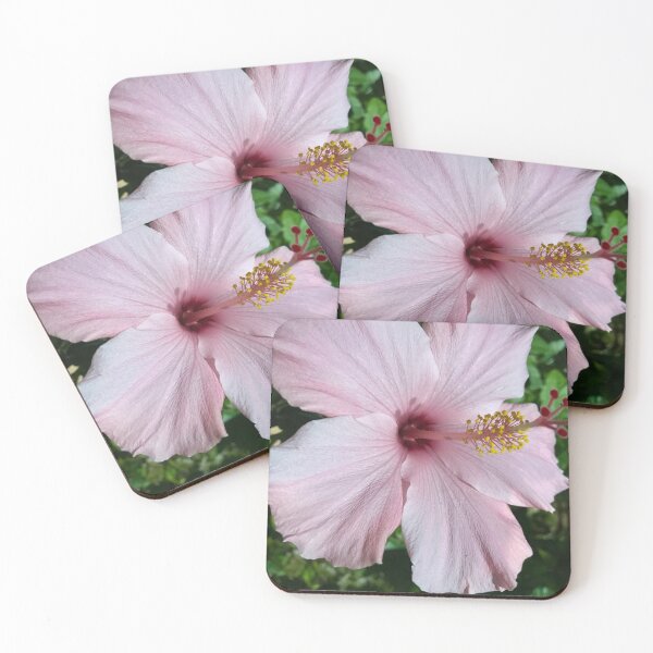 Item preview, Flower Beauty designed and sold by Debbie Mueller.