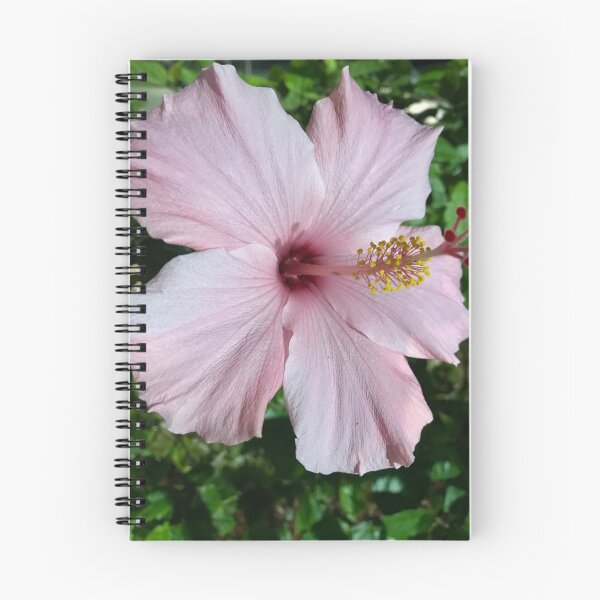 Item preview, Flower Beauty designed and sold by Debbie Mueller.