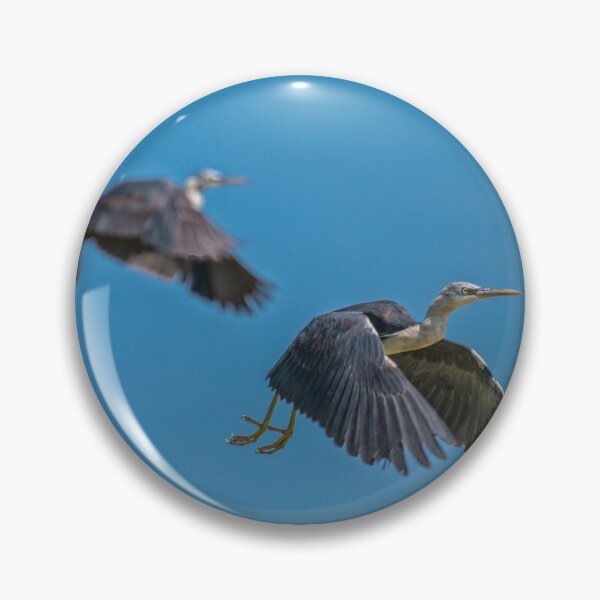 Item preview, White Necked Heron in Flight designed and sold by JohnKarmouche.