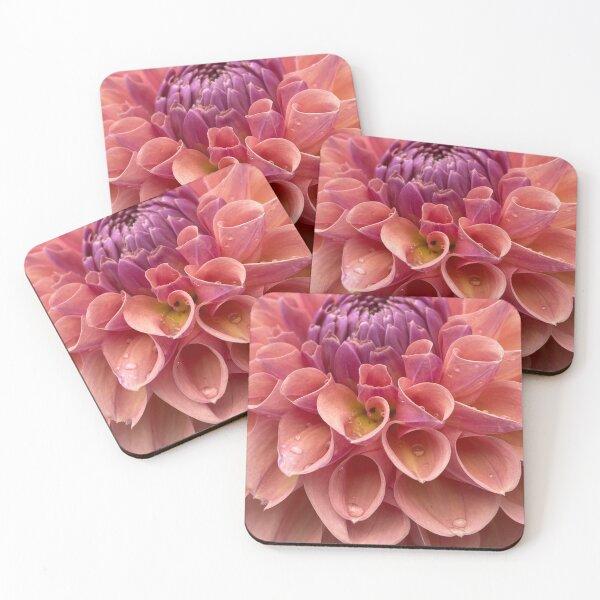 Item preview, Summer Dahlia designed and sold by Honey Myrtle Studio.