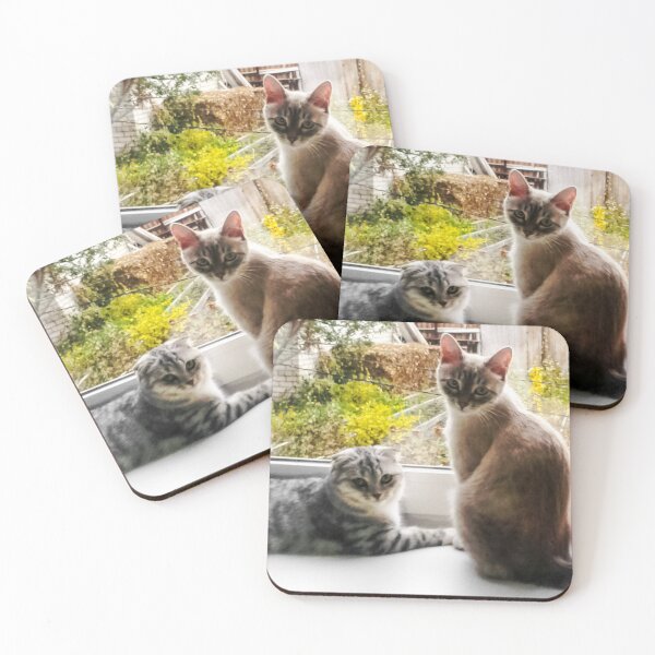 Item preview, Two serious intelligent female cats stare at you designed and sold by Alice-Moonbliss.