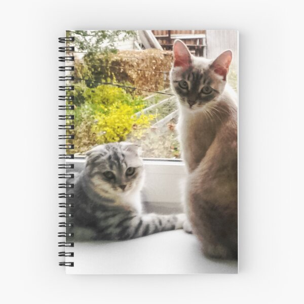 Item preview, Two serious intelligent female cats stare at you designed and sold by Alice-Moonbliss.