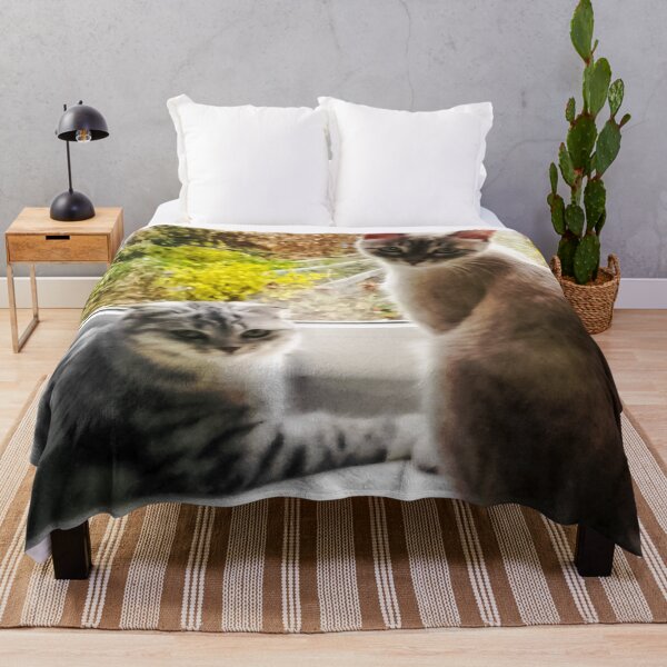 Item preview, Two serious intelligent female cats stare at you designed and sold by Alice-Moonbliss.