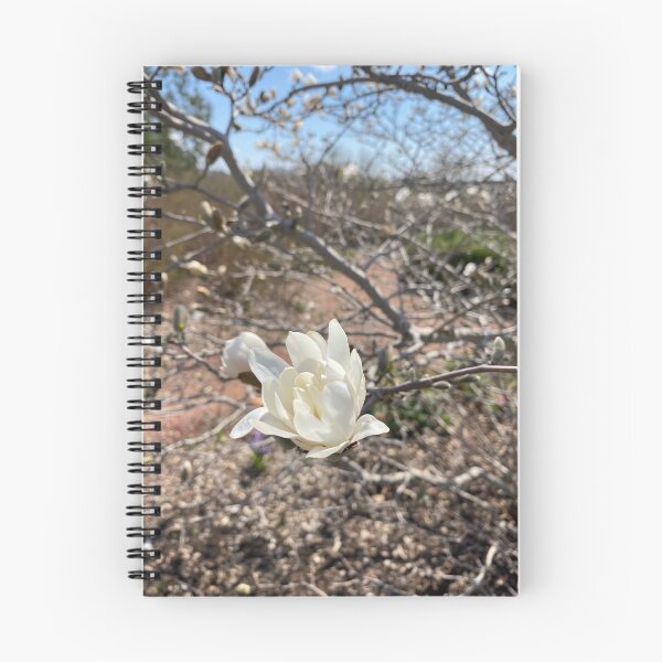 Item preview, Fleur de neige. designed and sold by mollyvibe.