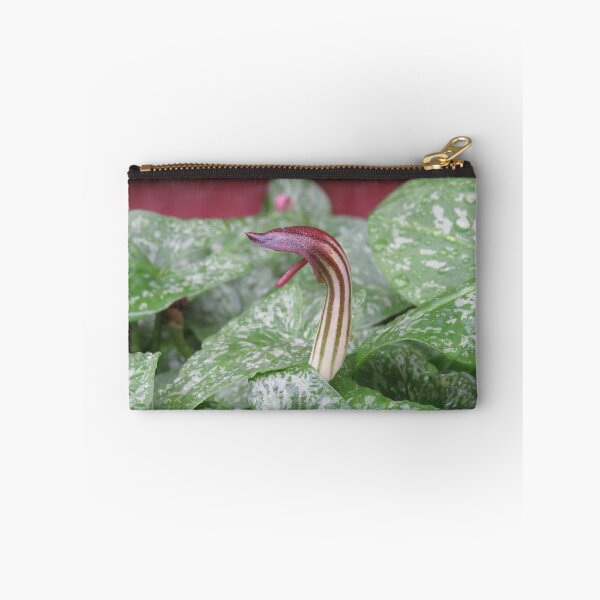 Item preview, Arisarum vulgare flower designed and sold by greentiger1.
