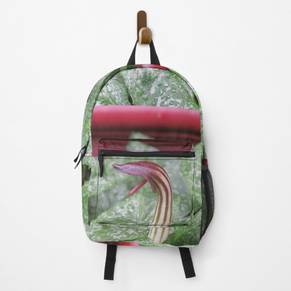 Item preview, Arisarum vulgare flower designed and sold by greentiger1.