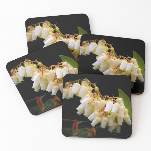 Item preview, pieris japonica designed and sold by Anita van Gendt.
