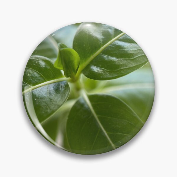 Item preview, Hojas de la planta de la casa verde designed and sold by Sinemathk.